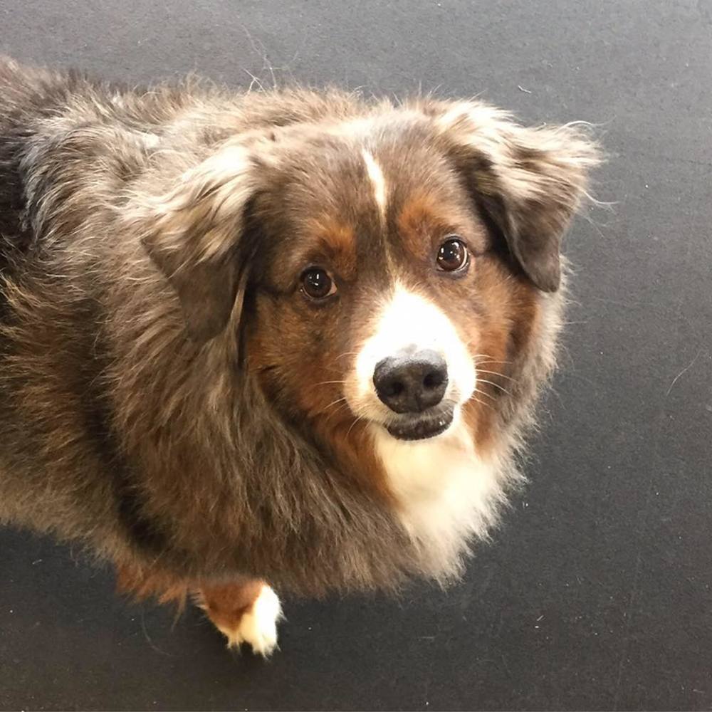 Meet your Posher, Kathryn